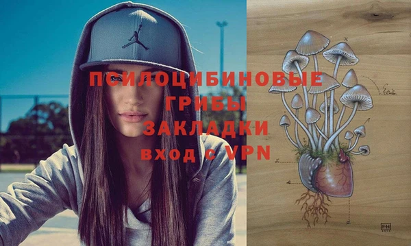 МДПВ Абдулино