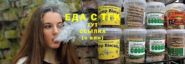 эйфоретик Алзамай