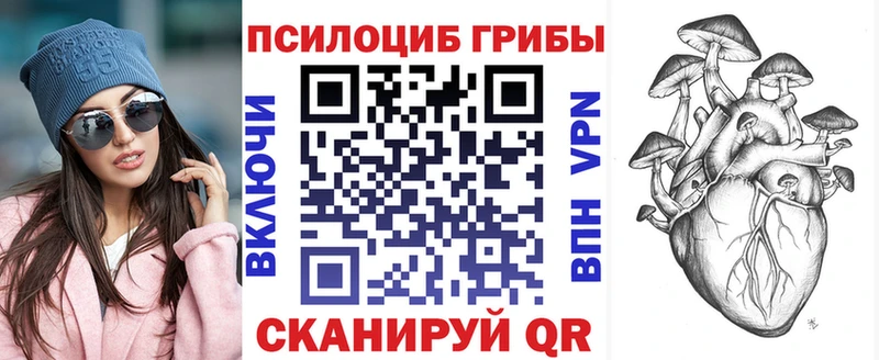 купить наркотик OMG сайт Псилоцибиновые грибы мухоморы Абакан